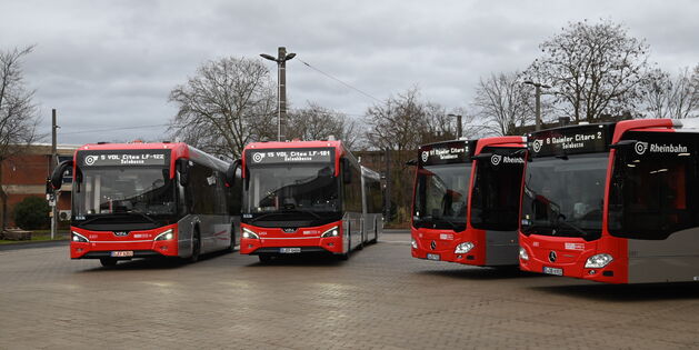 Gruppenbild der vier neuen Busmodelle bei der Rheinbahn, von links nach rechts: VDL-Batteriebusse 6301 und 6404 (Solo und Gelenk) sowie die Bugseiten der Citarowagen 7901 und 6901. Foto: Volker Eichhorst